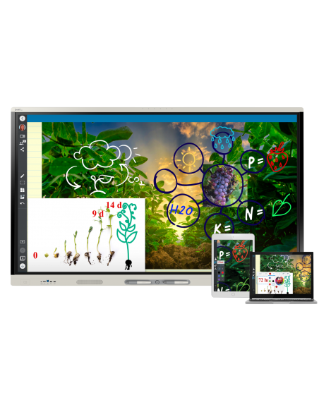 SMART Board® serie MX SBID-MX255-V5